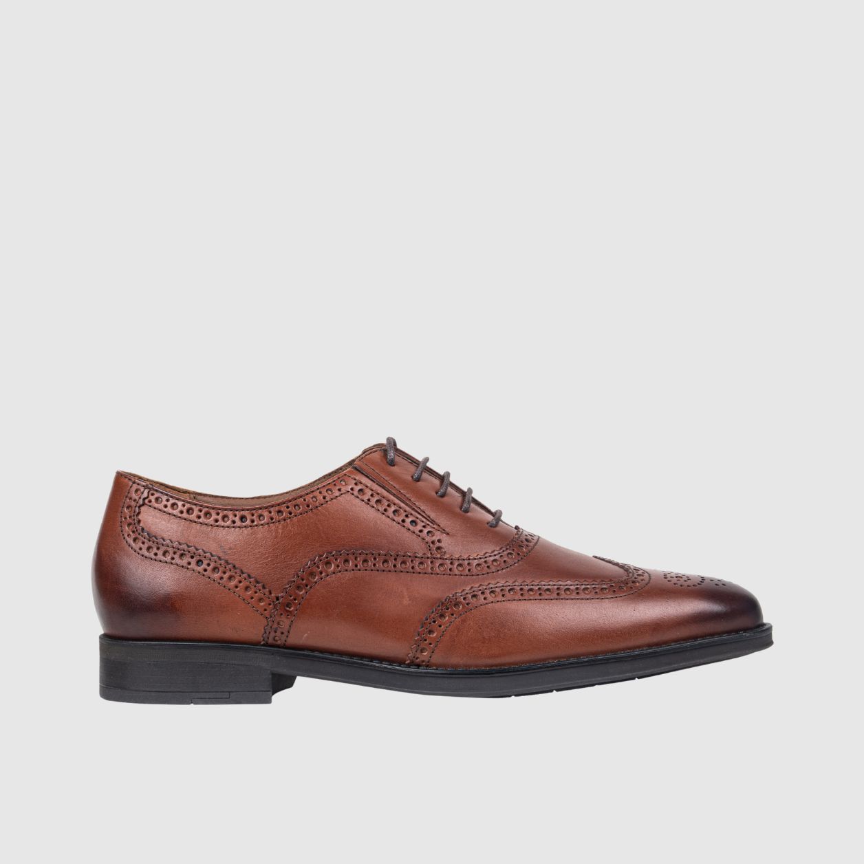 Nash Wing Oxford  -Tan